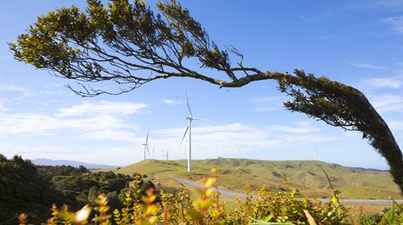 View of Te Uku wind farm