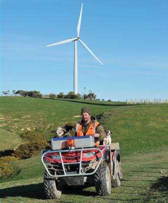 West Wind farm a working sheep farm