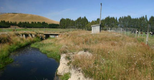 waiau river restoration