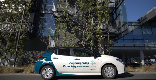 auckland office