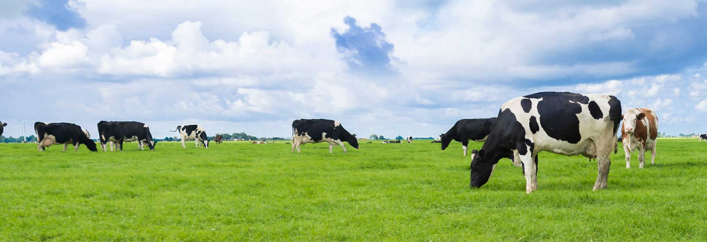Agri Moving House Header