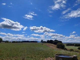 Bunnythorpe paddock blue sky 3