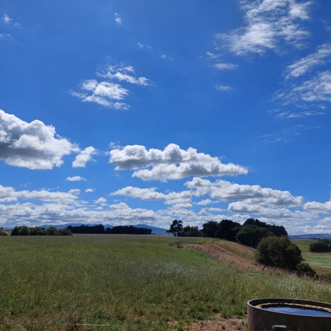 Bunnythorpe paddock blue sky 3