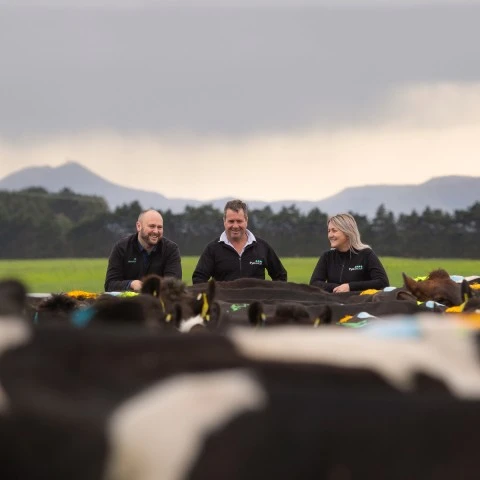 Dairy hero v2