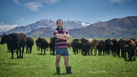 Farmlands