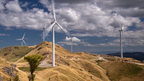 Harapaki windfarm