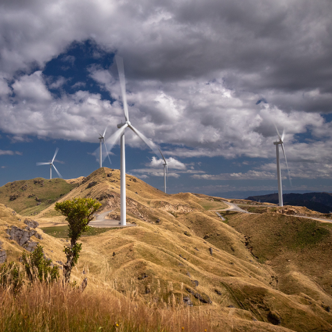 Harapaki windfarm