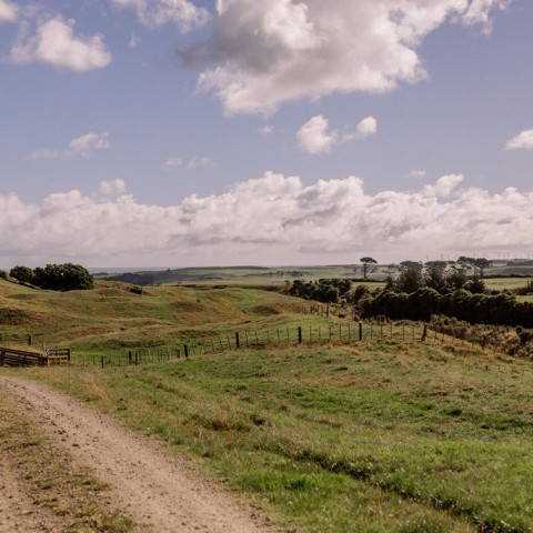 Meridianwaiinu 31 (1)