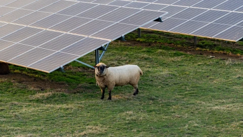 Solar panels rural