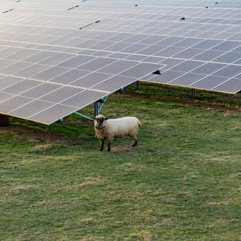 Solar panels rural
