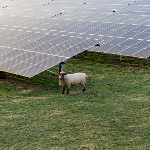 Solar panels rural