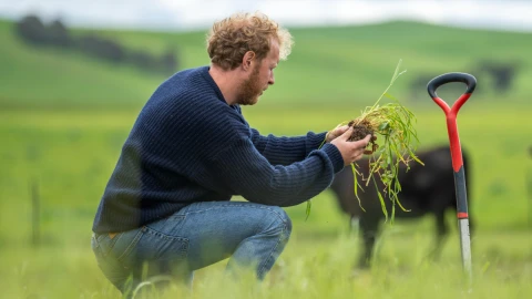 Sustainable Farming