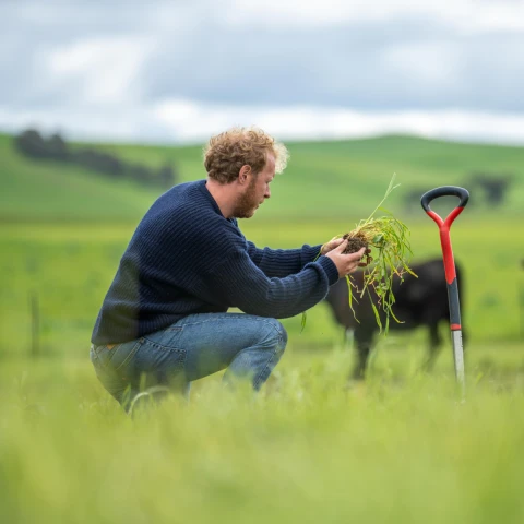 Sustainable Farming