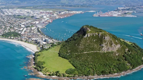 Tauranga View