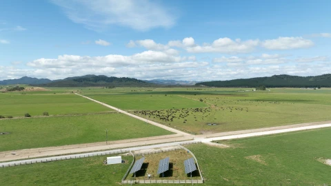 Te Rahui site