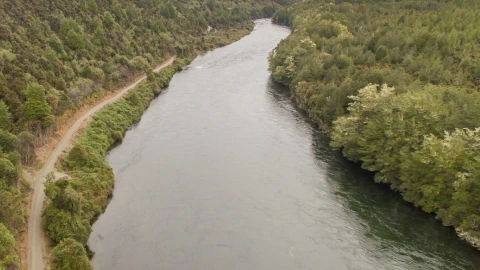 Waiau river restoration Header v2
