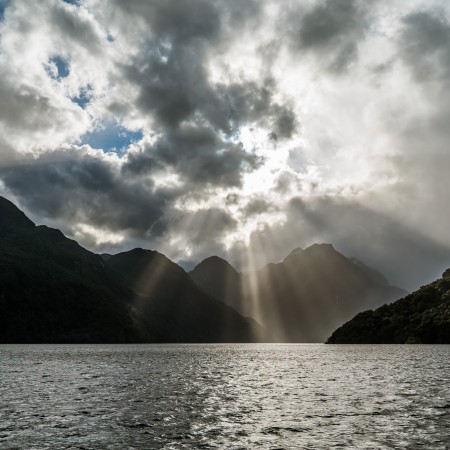 Kakapo Manapouri DSC7386 49 LR