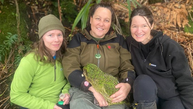 Sarahs Kakapo Adventures