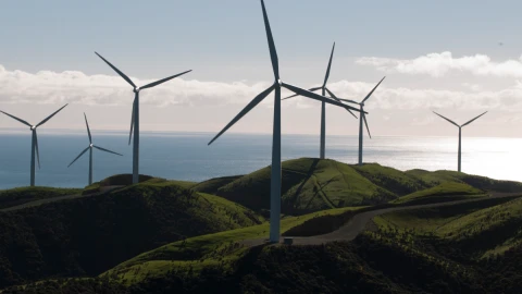 West wind Header