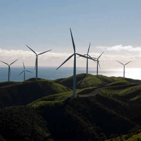West wind Header