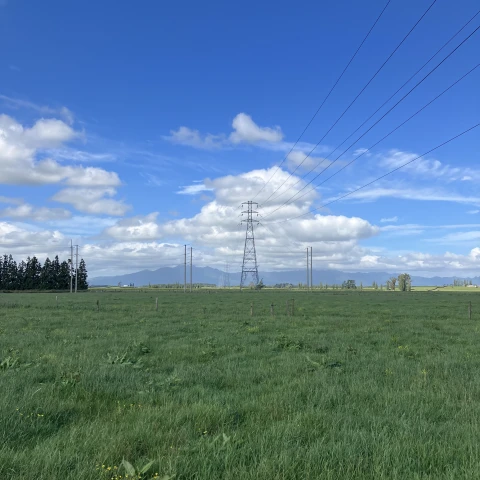 Morrinsville site