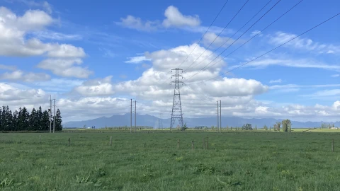 Morrinsville site