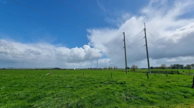 Morrinsville solar site