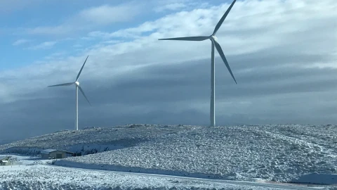 White hill Header