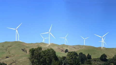 Mt Munro project simulation view