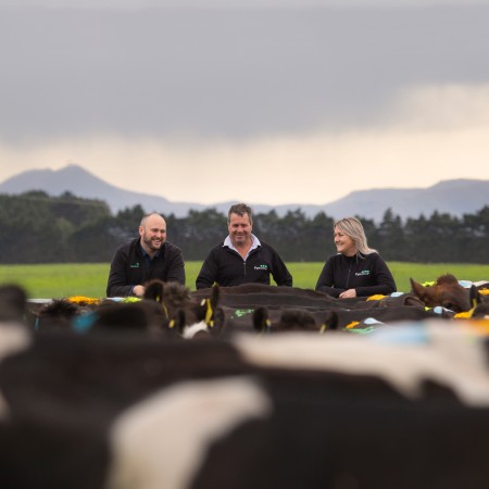 Dairy hero