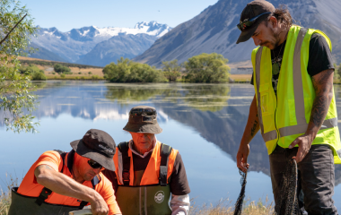 People doing conservation work