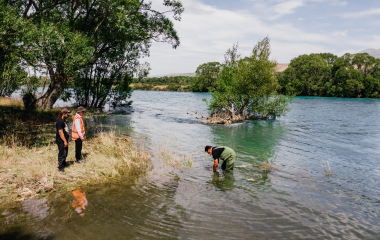 People working in the water