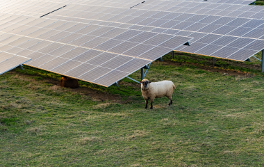 Solar panels rural