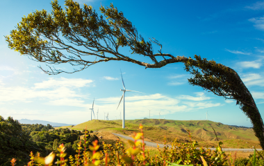 Te Uku wind farm 