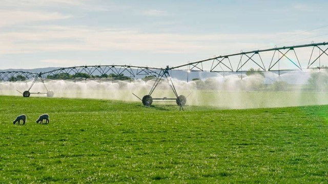 Meridian Energy irrigation prices