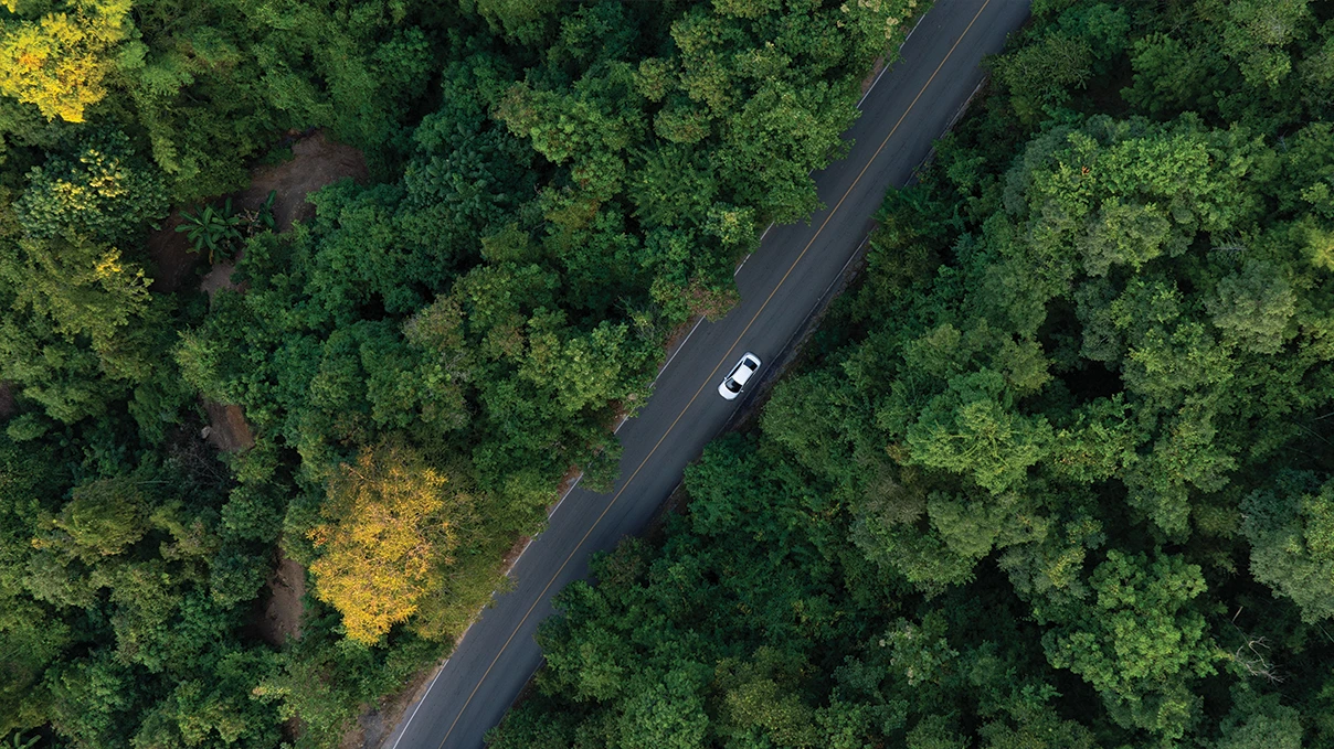 Car driving through the forest