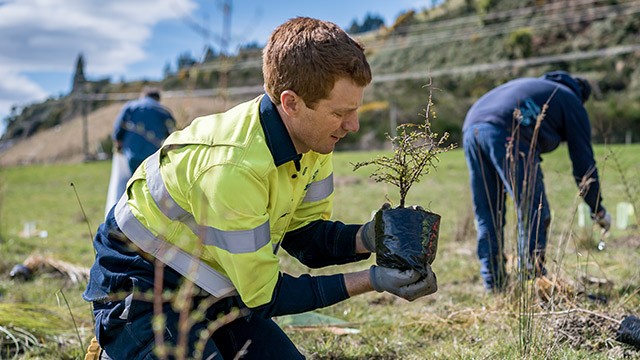 Man planting a tree - Forever Forests