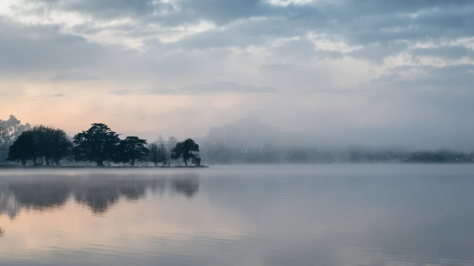 Christchurch Botanic Gardens