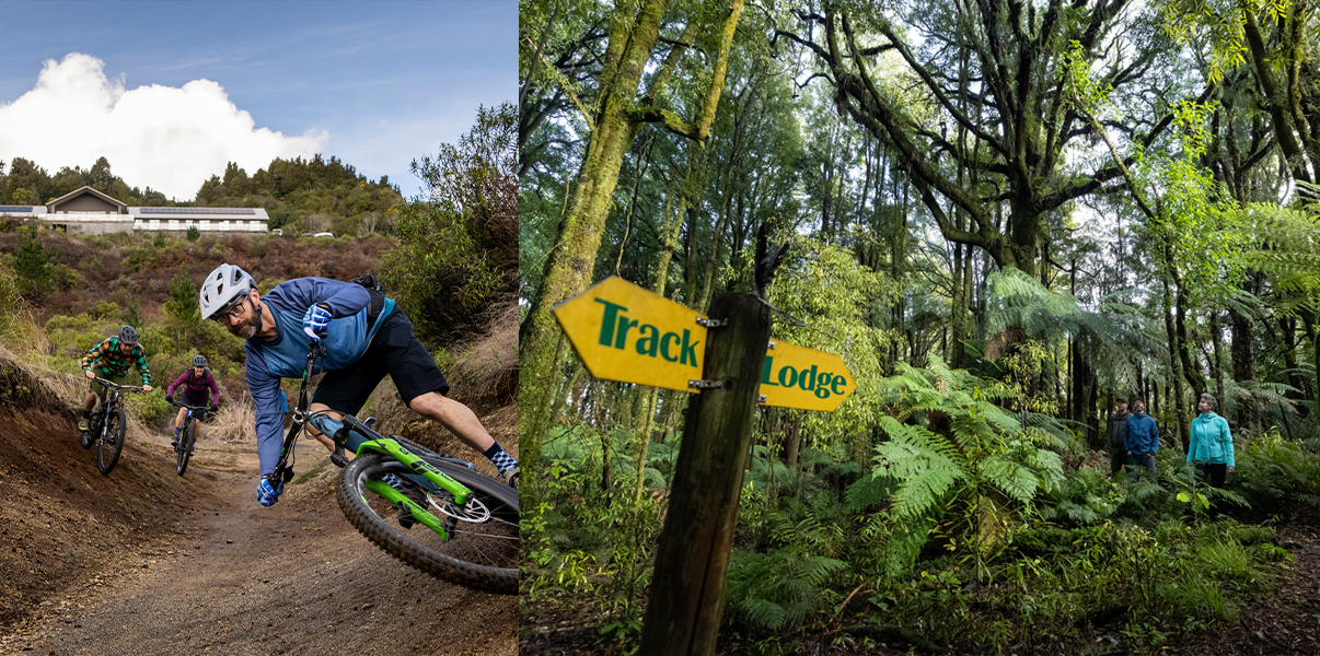 Timber Trail mountain bike track