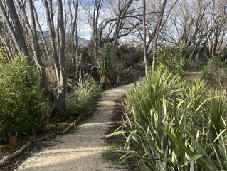wetlandtrack