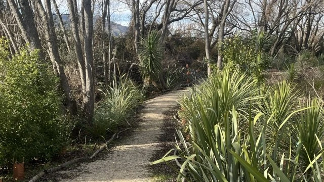 wetlandtrack