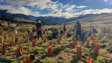 whakatipu reforestation trust